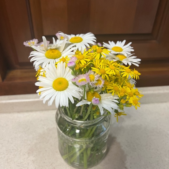 Meet your Posher, Missie - Picture 1 of 1